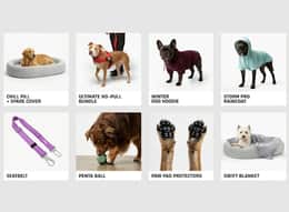 Dog Friendly Co.