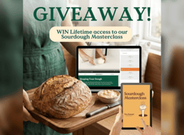 You Knead Sourdough