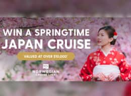 My Cruises