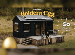 Honest Eggs Co.