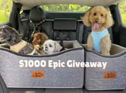 Indie Boho Pet Supplies