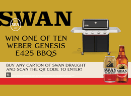 Swan Draught