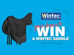 Wintec Saddles