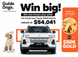 Guide Dogs Victoria